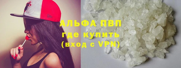 шишки Заполярный