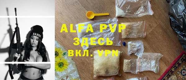 шишки Заполярный